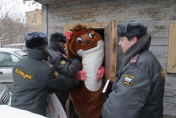 Два десятка картинок для позитивного настроения!