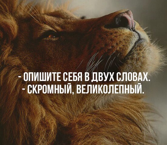 Прикольные животные