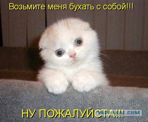 ЯПовцы работают и отдыхают
