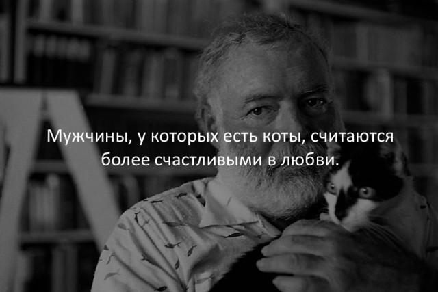 40 интересных фактов в картинках.