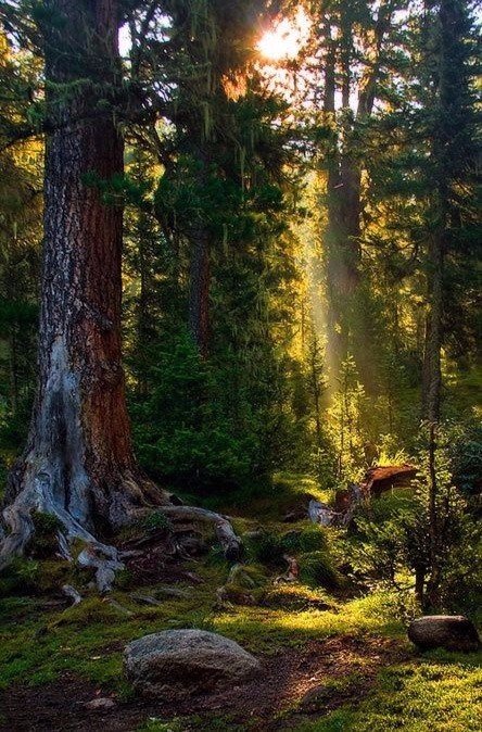 Моменты, запечатлённые на фото и просто позитив 5