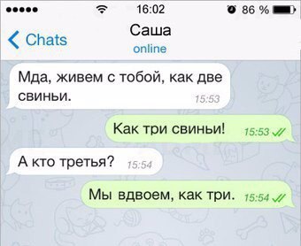 Картинок всяких
