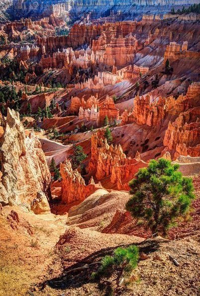 Фото интересные и не только