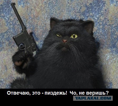 Был у меня кот