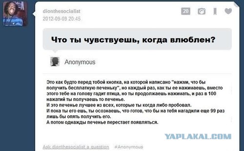 Измена?..