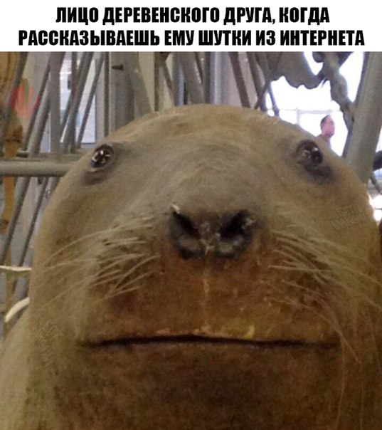 Итоги проверки пользователей