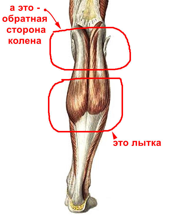 Знакомые всем вещи, у которых, оказывается, есть названия