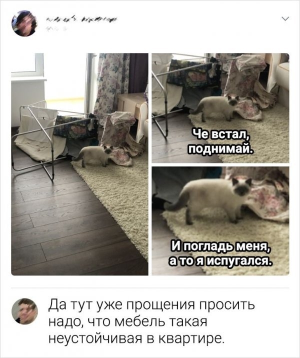 Картинки и мемы для настроения 30.03.2021