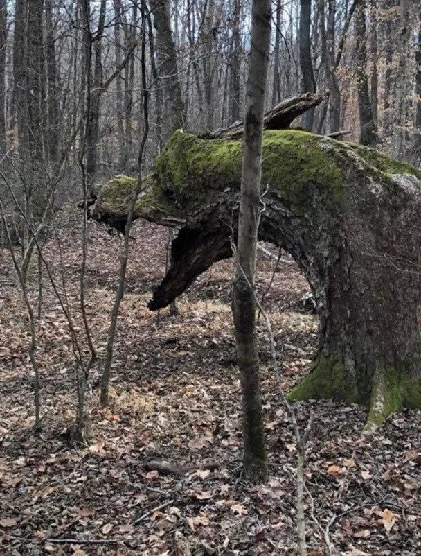 Картинки на вчера