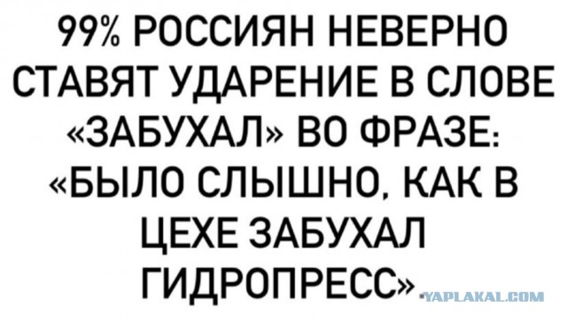 Юмор и прикольные картинки