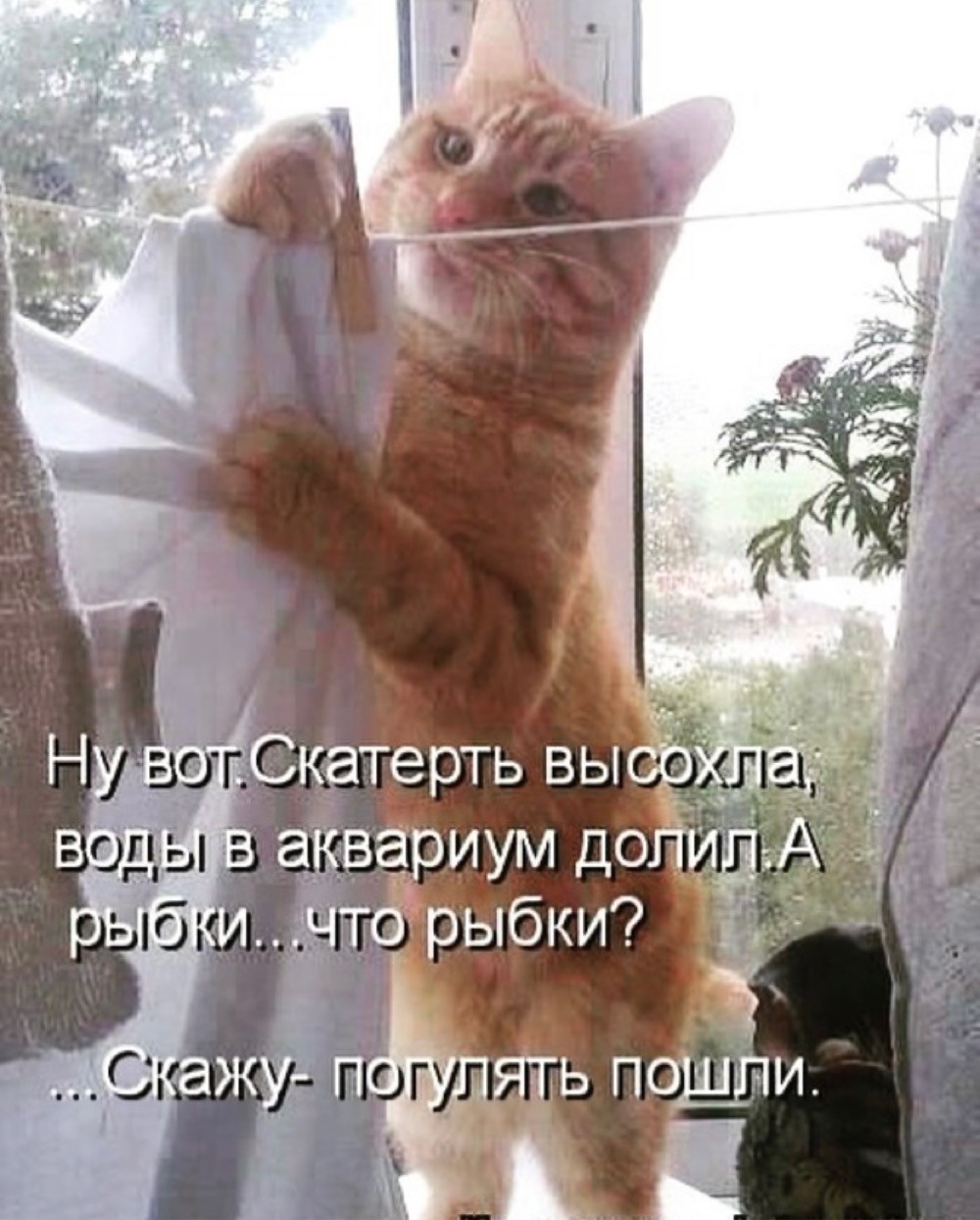 16045363.jpg