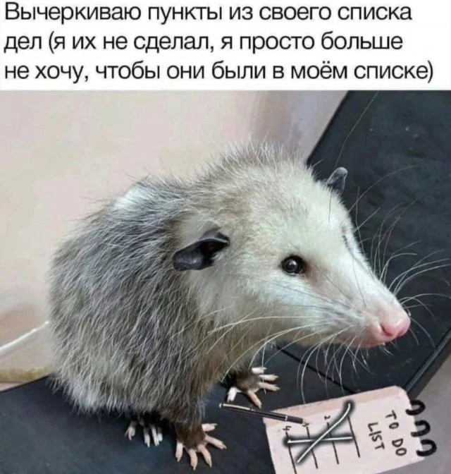 Просто картинки из сети