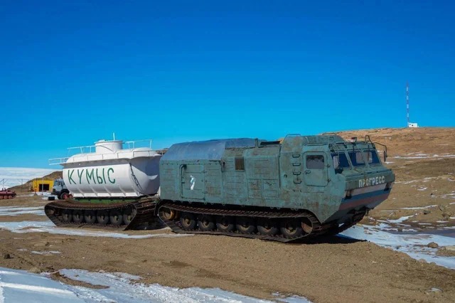 10 картинок