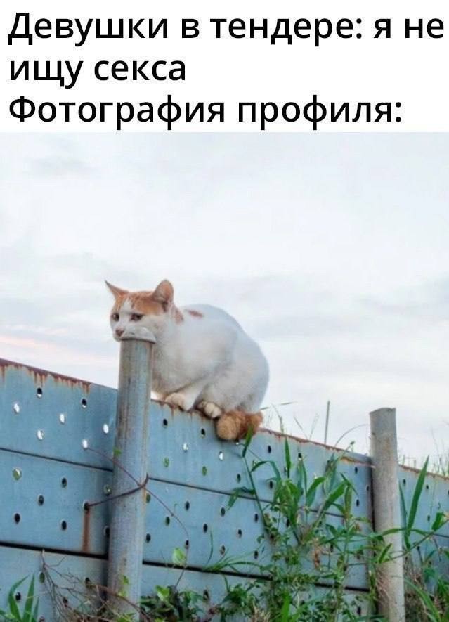 Ну штош, продолжим пОшло деградировать