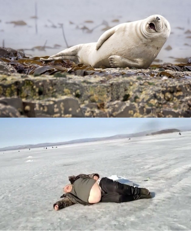 Самые смешные снимки животных в дикой природе за всю историю фотоконкурса Comedy Wildlife Photography Awards