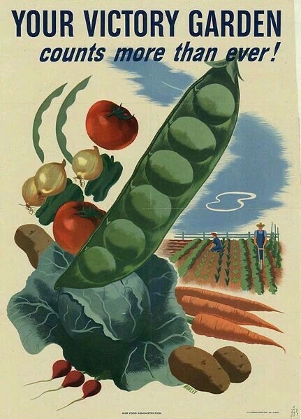 Продуктовые карточки в Англии