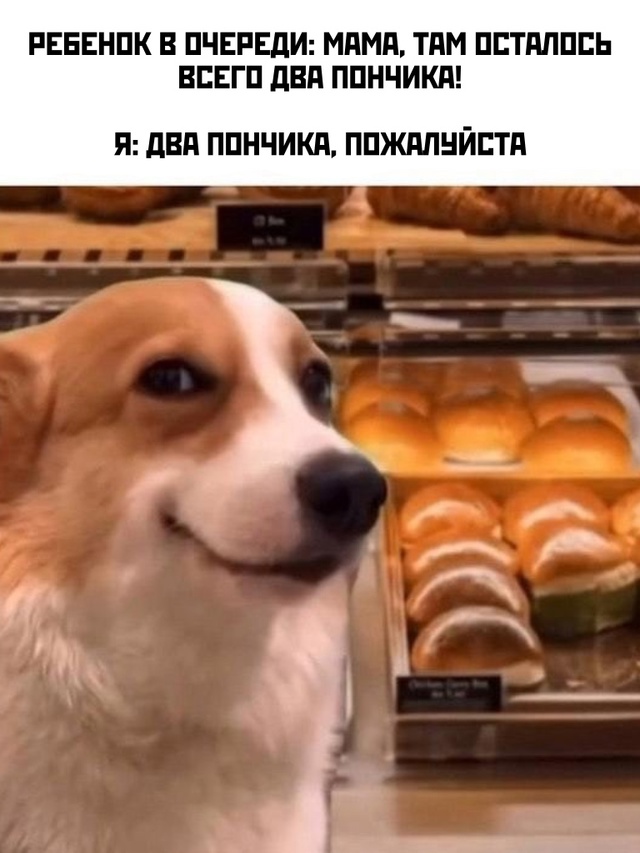 Весёлый полтишок 13.03.25