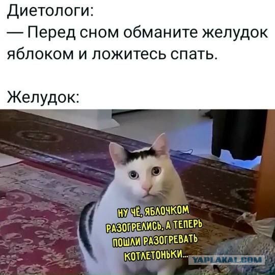 Прикольные и просто красивые картинки