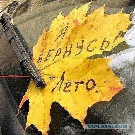 Осенние картинки
