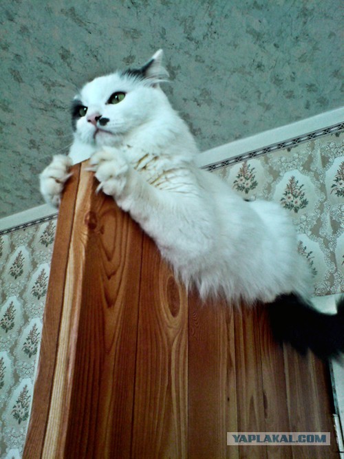 В ночь с 28 февраля на 1 марта. Без предупреждения