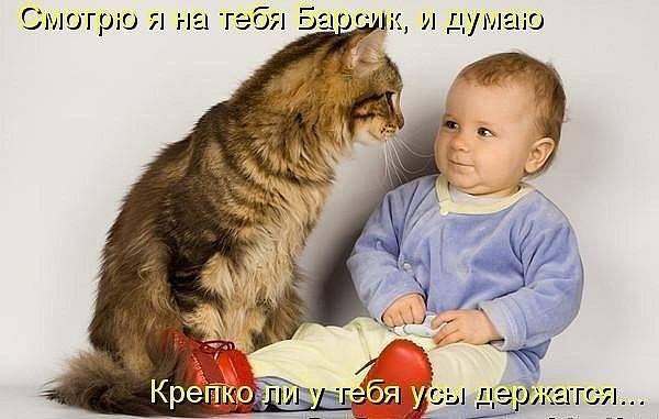 Позитивные картинки и комментарии.