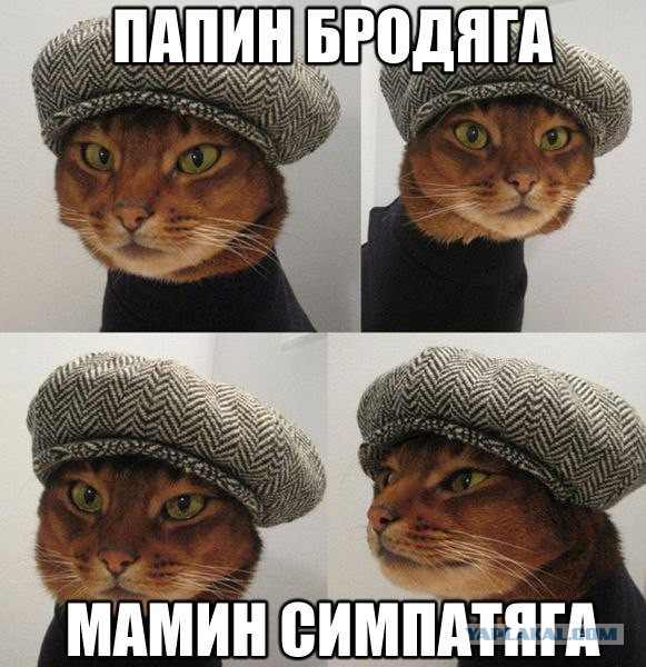 Зато тепло и не дует.