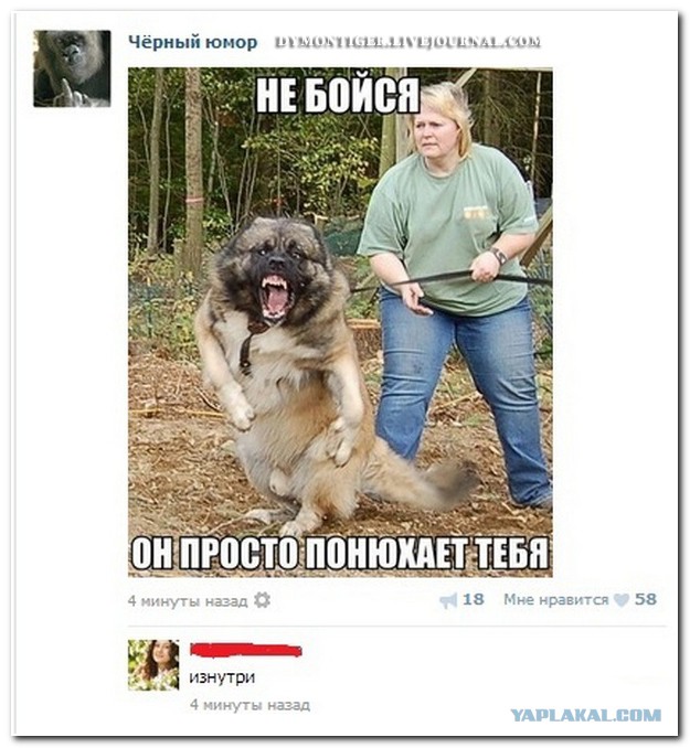 Сочные ляжки хороших людей