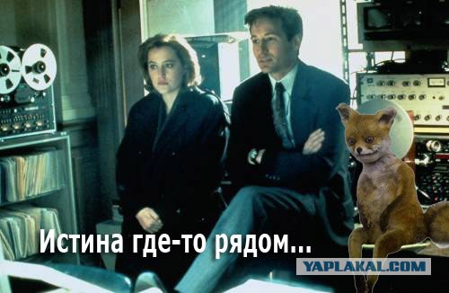 Собака телепортяка
