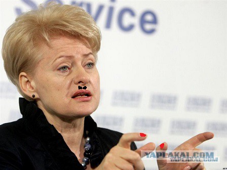 Президент Литвы: «После Украины настанет наш черёд