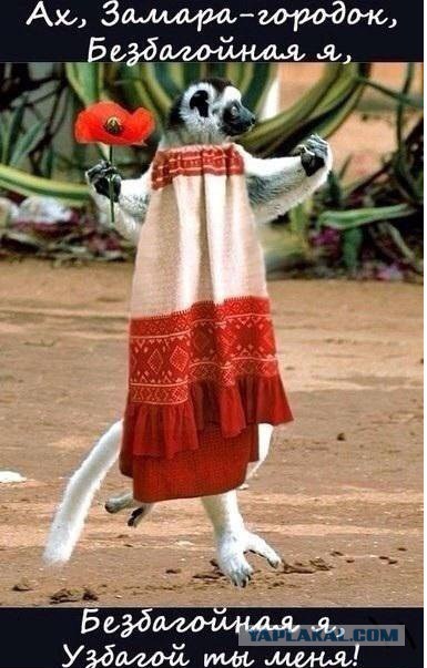 Смешные картинки, приколы, комментарии и прочее...