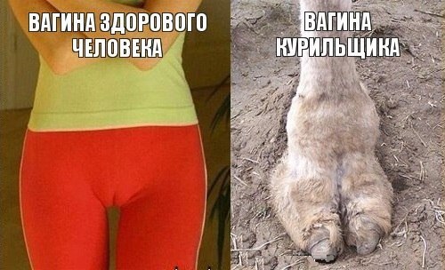Подборка картинок