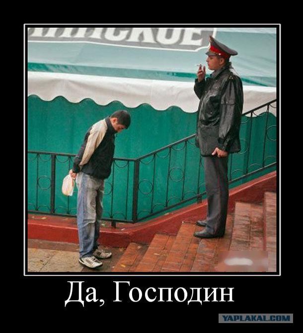 10 политических картинок часть 24