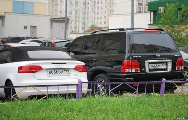 Небольшой микс картинок и гифок .
