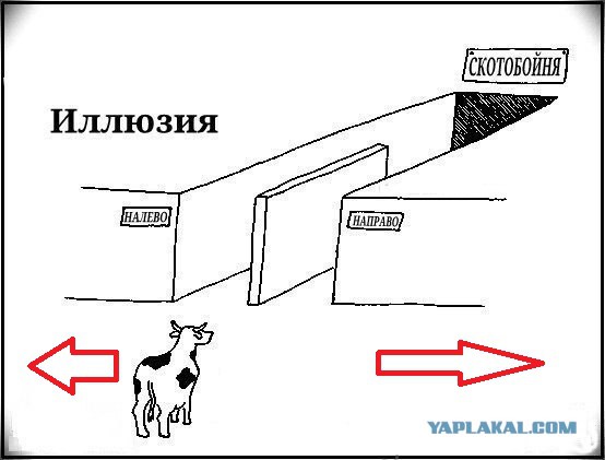 Замена Путину? А кто он, кандидат?