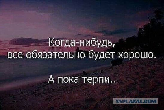 Все друг друга поняли (Смехопанорама)
