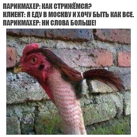 Назвал "петухом" и погиб от ножевого ранения