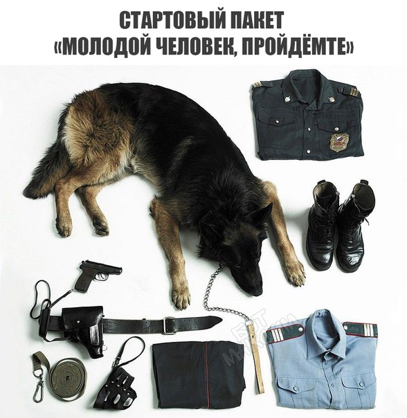 Подборка картинок с юмором "на любителя"