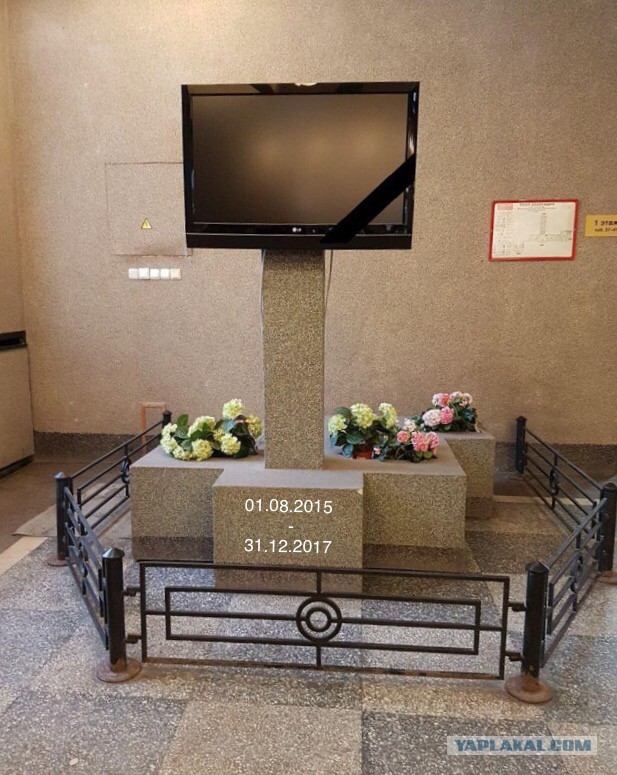Могилка телевизора в Питере