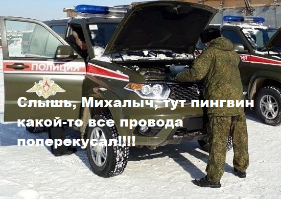 Просто хорошие и добрые новости из России за неделю