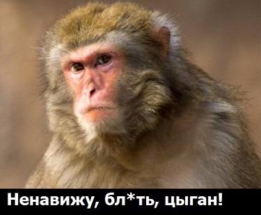 Нападения обезьян