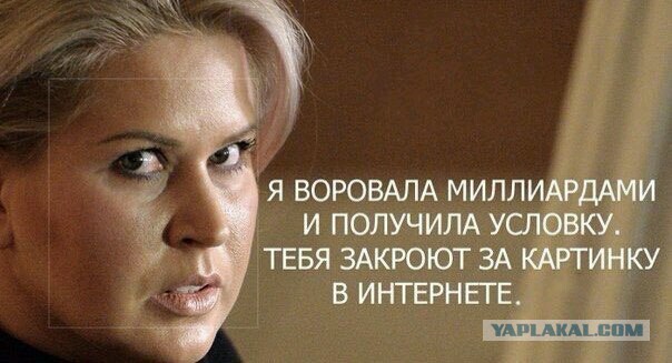 Магаданскому блогеру дали 7 лет тюрьмы за пост о «тухлой стране»