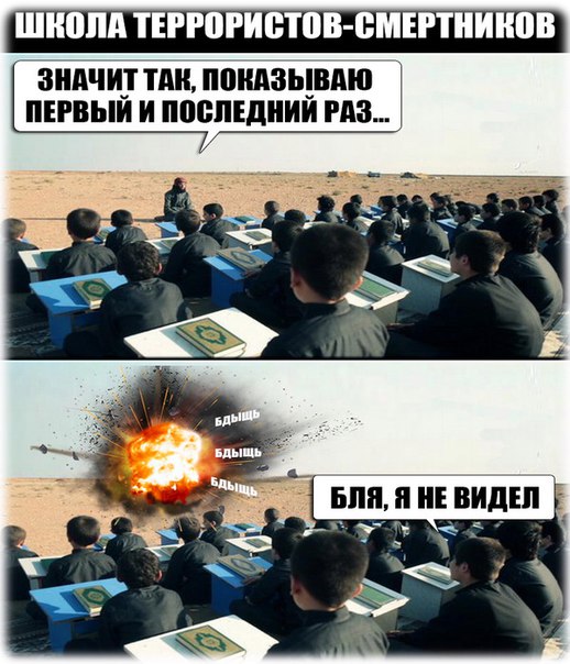 Картинки из интернетов