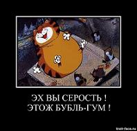 Смешные комментарии из социальных сетей 02.11.2018