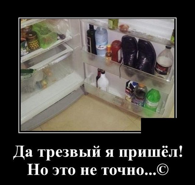 Анекдоты, соц-сети и картинки с надписями