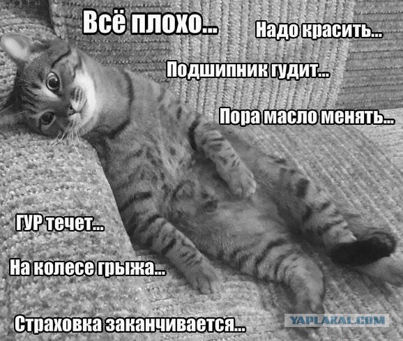 Прикольных картинок псто 01.10.19
