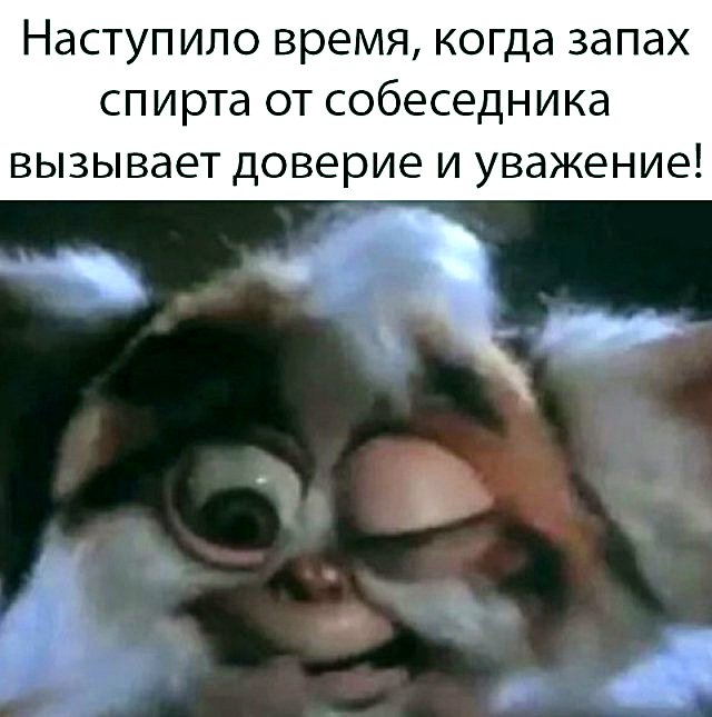 50 невеселых карантинок