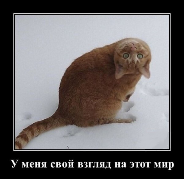 Немного картинок для настроения 12.05.20