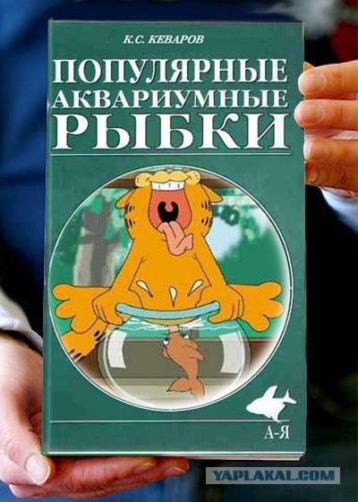 Фотожаба: Книги!