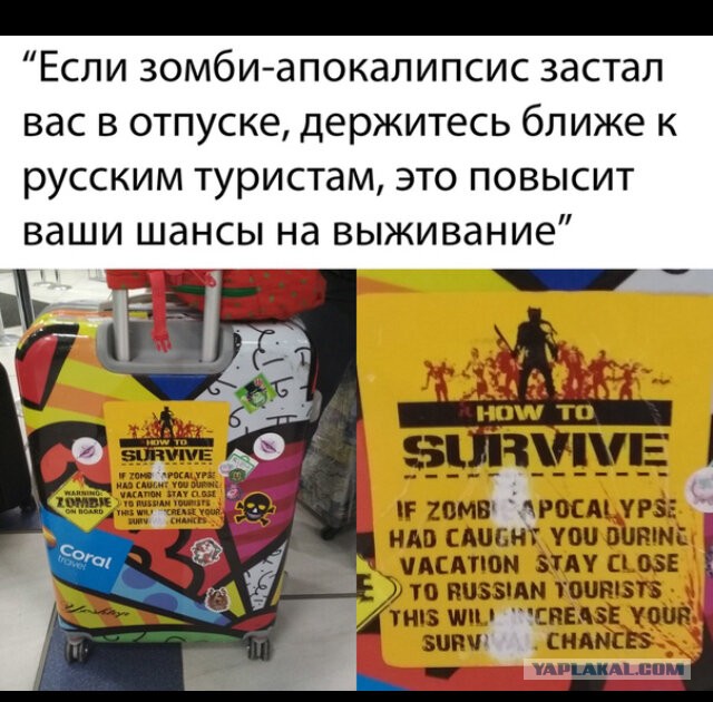 Подборка баянов