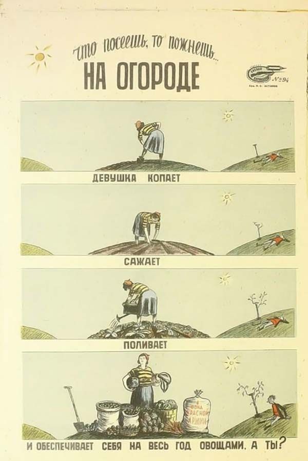 На огороде